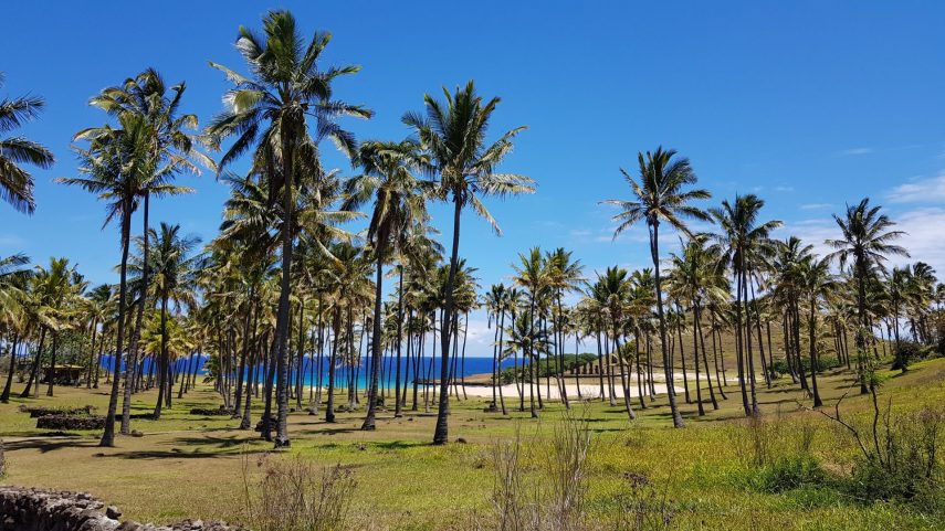 easter island tours