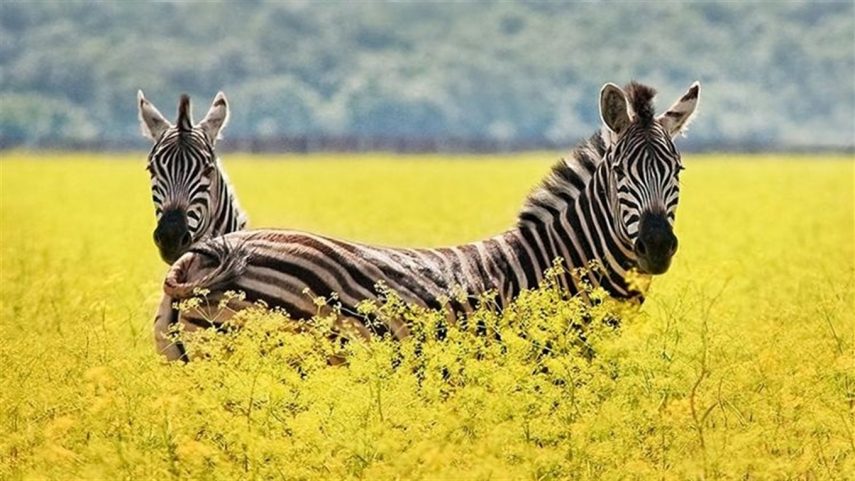 Тури в Херсон і Миколаїв