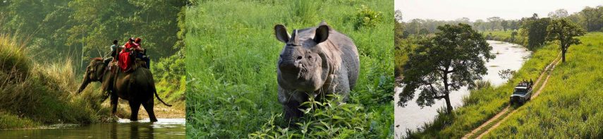 Chitwan