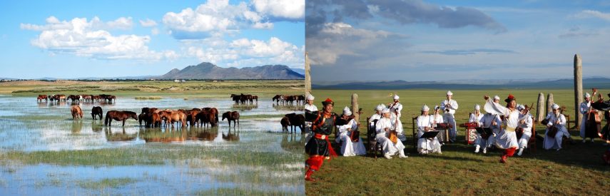 gobi desert