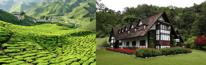 Cameron Highlands