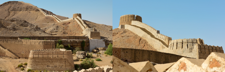 пакистан тури