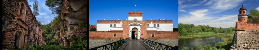 Тараканівський форт і Дубно